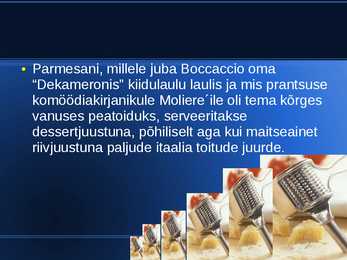 Parmesani juust #10