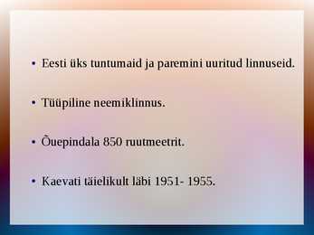 Rõuge linnus #2