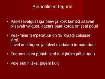 Pampad #3