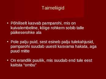 Pampad #4