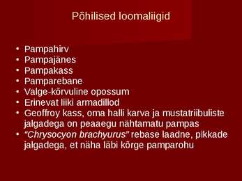 Pampad #6