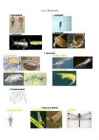 Kontrolltööüksused esimene 2012 a #6