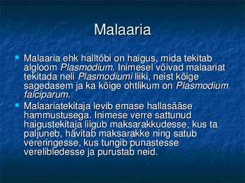 Algloomad ja sooleparasiidid #3