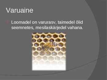 Lipiidide positiivne mõju #3
