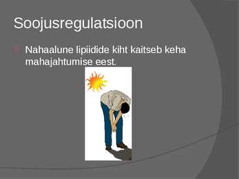 Lipiidide positiivne mõju #5