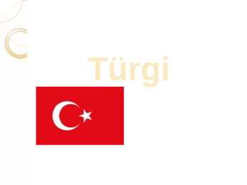 Türgi ülevaade