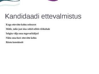 Elis Vink MK10 EDUKAS TÖÖINTERVJUU #4