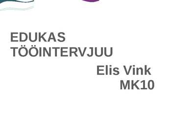 Elis Vink MK10 EDUKAS TÖÖINTERVJUU