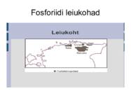 Kivimid Eestis #12