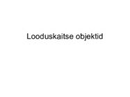 Kivimid Eestis #28