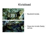 Kivimid Eestis #32
