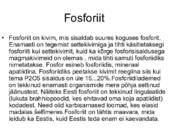 Kivimid Eestis #10