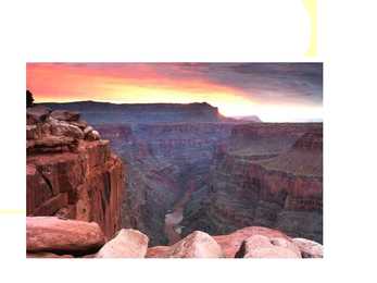 NATURE #5