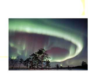 NATURE #8