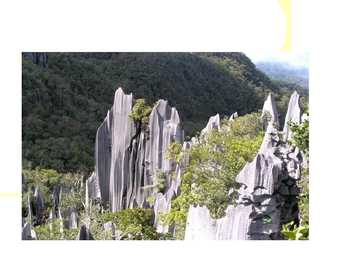 NATURE #10