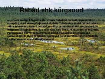 RABA-kõrgsoo #2