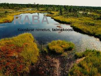RABA-kõrgsoo