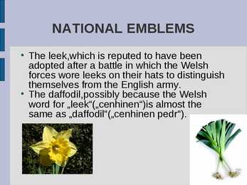Wales #12