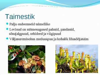Seišellide powerpointi esitlus #5
