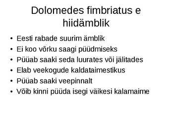 Hiidämblik #3