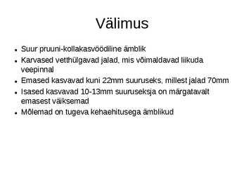 Hiidämblik #5