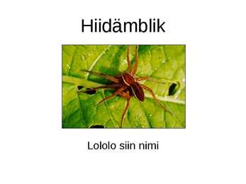 Hiidämblik