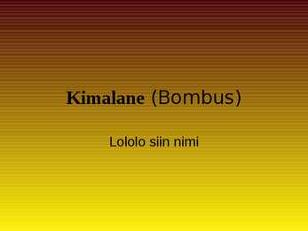 Kimalane-Bombus