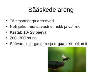 Sääsed #2