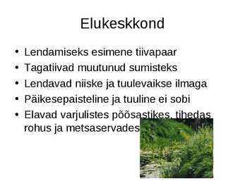Sääsed #3