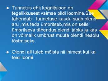 Kognitiivne Psühholoogia #6