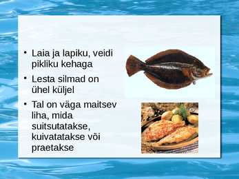 Peamised püügikalad läänemeres #11