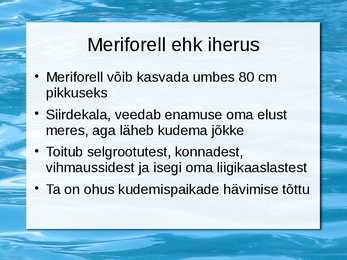 Peamised püügikalad läänemeres #12