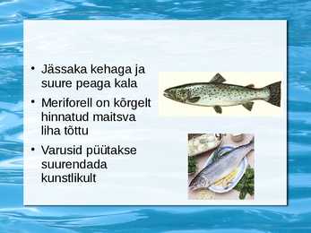 Peamised püügikalad läänemeres #13