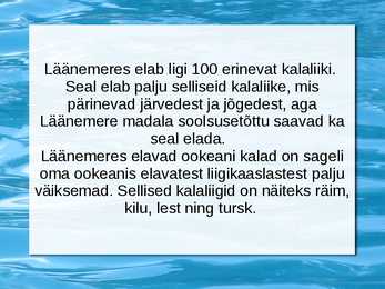 Peamised püügikalad läänemeres #3