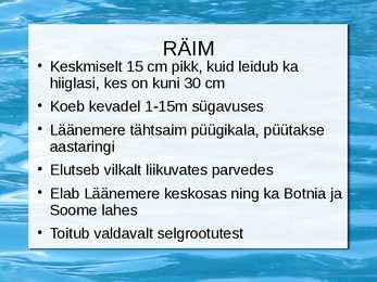 Peamised püügikalad läänemeres #4
