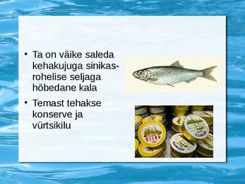 Peamised püügikalad läänemeres #7