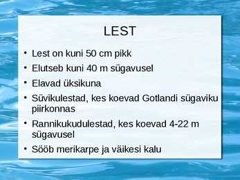 Peamised püügikalad läänemeres #10