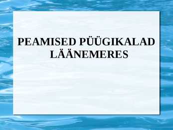 Peamised püügikalad läänemeres
