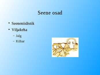 Seened esitlus #2
