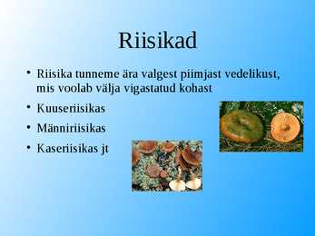 Seened esitlus #11