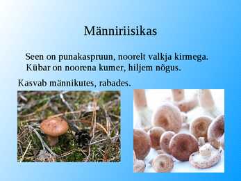 Seened esitlus #12