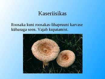 Seened esitlus #14