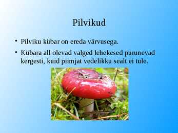 Seened esitlus #15