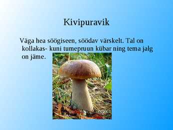 Seened esitlus #17