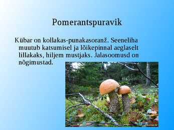 Seened esitlus #20
