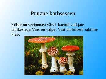 Seened esitlus #23