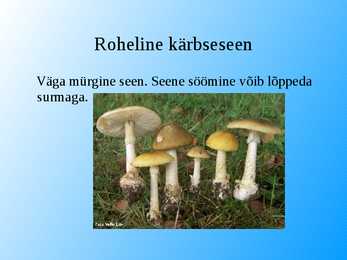 Seened esitlus #24