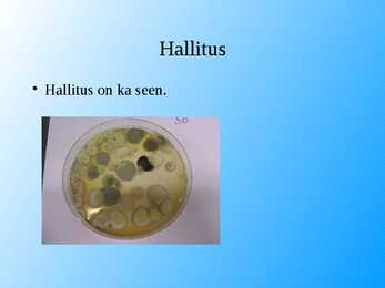Seened esitlus #26