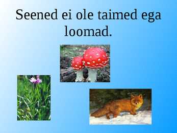 Seened esitlus #6