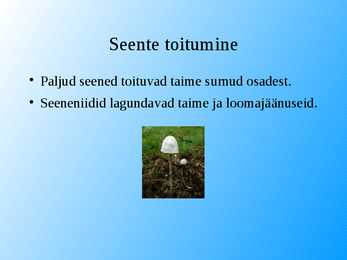 Seened esitlus #7